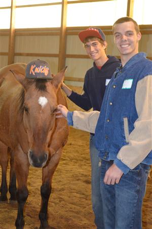 boys with horse